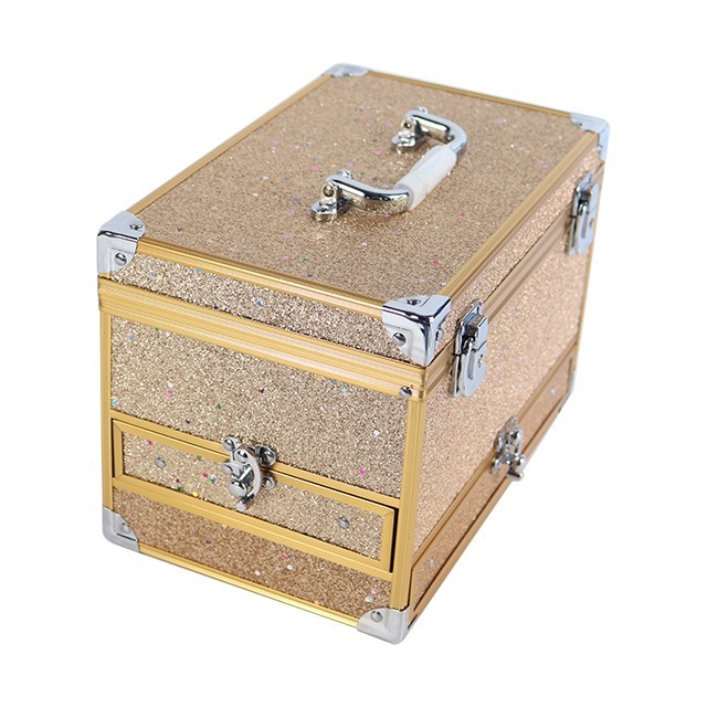 LARGE CASE Makeup Train Case Cosmetic Organizer Box with Light Aluminum Makeup case