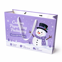 Sacs cadeaux en papier de luxe écologiques pour Noël, avec poignées à cordon, taille moyenne, promotion, vente en gros, emballage de détail