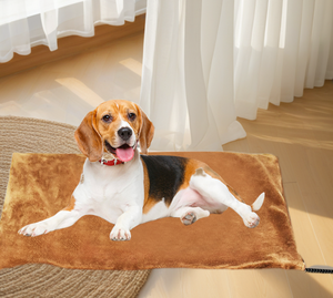 Blue Extremely Waterproof Soft Fleece Cover Extremely Waterproof <b>Heating</b> <b>Pads</b> with Eu US JP Au Plugs150*100 - Product Image 1