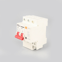Interruptor Automático Miniatura de 2 Puertos MUTAI, Color Blanco, Proveedor Chino, Alta Capacidad de Interrupción, Protección Residual RCBO PA66