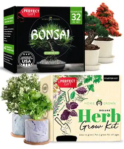 Premium-Bonsai Krautgarten-Bündel Bonsai Baum Samen-Starterset Bonsai Naturgarten Geschenkset