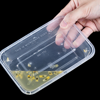 Conteneur Alimentaire Rectangulaire en PP Plastique Transparent Jetable, Grande Vente, 500ml 650ml 750ml 1000ml pour Plats à Emporter