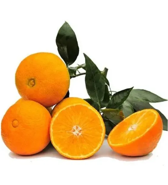 Wholesale Price Fresh Navel Orange natural origin good price from china ready to ship fresh navel orange