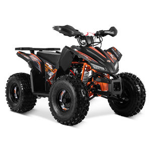 Tao Motor 150cc Quad Pas Cher - Product Image 1