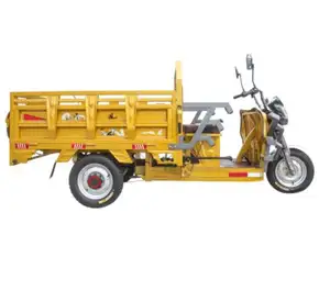 Chinese Factory High Quality 3 Wheel Bicycle Tricycle China Supply 3 Wheel Cargo