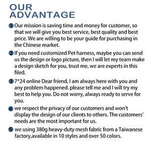 Prosesnya stabil dan barang cukup untuk memenuhi kebutuhan Anda. Pabrik sumber produk hewan peliharaan eksplosif - Product Image 6