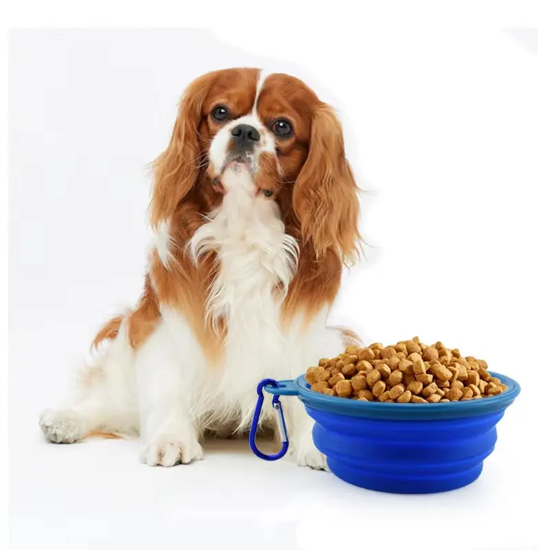 Pet Feeder Bowl of Top Seller Smart Pet Feeding Folding Bowl