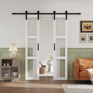 Sinron tùy chỉnh <span class=keywords><strong>Closet</strong></span> cửa Thiết kế hiện đại gỗ nhựa tuôn ra cửa gương trượt Barn cửa - Product Image 5