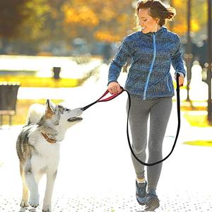 Hanyang-correa reflectante de nailon para perros, <span class=keywords><strong>Collar</strong></span> personalizado con dos asas dobles, productos para mascotas - Product Image 6