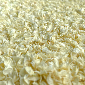 Pétalos de jazmín a granel de alta calidad Té de flores Pétalos de jazmín seco Jasminum Sambac a la venta - Product Image 4