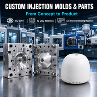 Solution clé en main : Moule d'injection plastique pour coque extérieure de diffuseur d'arômes intelligent en ABS/PP et service de moulage par injection