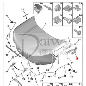 OE 7912GY <span class=keywords><strong>Citroen</strong></span> <span class=keywords><strong>C3</strong></span> C4 cerniere del cofano (marca Datwy) - Product Image 1