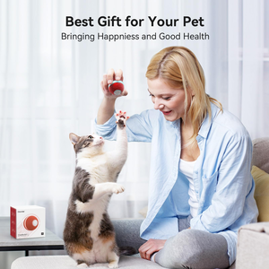 Jouet Électrique Automatique Rechargeable pour Chat, Vente Chaude, Jouet Intelligent à Détection de Mouvement pour Animaux de Compagnie, Jouet Moderne en Silicone pour la Maison - Product Image 6