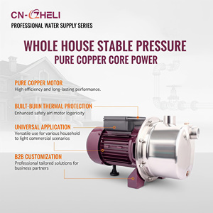 Pompe à jet <span class=keywords><strong>auto</strong></span>-<span class=keywords><strong>amorçante</strong></span> ZHELI 250W 1/3HP avec corps en acier inoxydable et moteur en cuivre pour l'augmentation de la pression d'eau domestique - Product Image 1