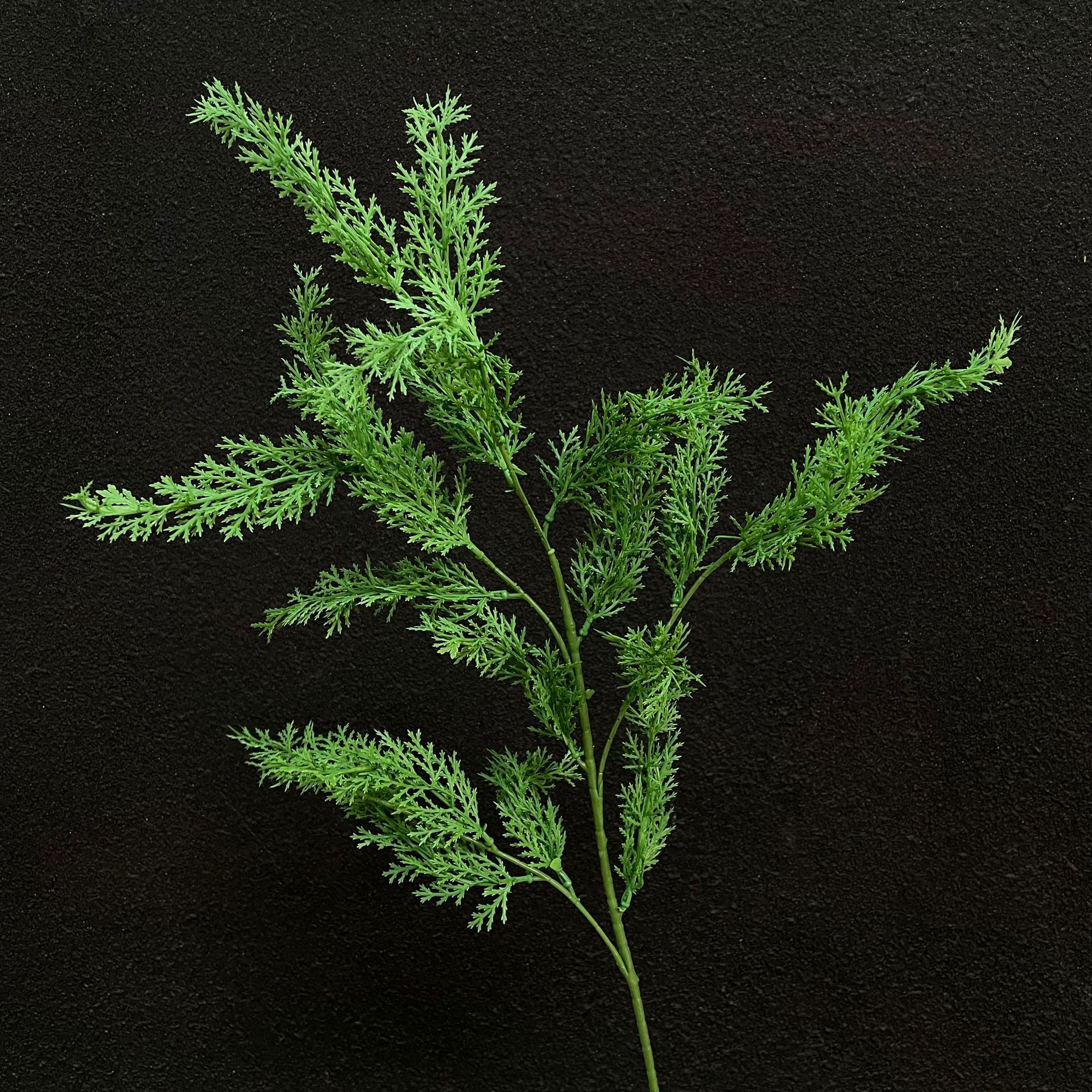 [120]Épis de riz vert