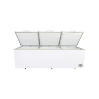 Réfrigérateur de cuisine 450L, congélateur de Type de poitrine, à Double porte, ouvert