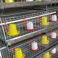 Haute qualité 1000 poulets bébé poulet Cage prévention de la rouille anticorrosion volaille élevage batterie couveuse Cages à vendre