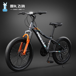 Vélo de montagne pour enfants Flying Pigeon 20 pouces 21 vitesses, cadre en alliage d'aluminium, fourche à suspension, selle confortable - Product Image 1