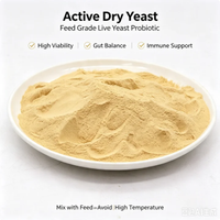 Poudre de levure active directe d'usine, additif alimentaire à haute activité adapté à la volaille, au bétail et aux animaux aquatiques