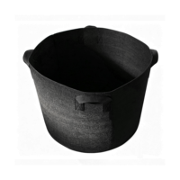 Sac d'usine de fabrication robuste pour tomates myrtilles hurbs pot de fraises sac de culture de plantes en tissu non tissé