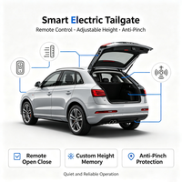 Aotostar para Audi Q3 2016+ Elevador Eléctrico de Puerta Trasera, Accesorios para Maletero, Elevador de Coche, Accesorios para Otras Partes de la Carrocería