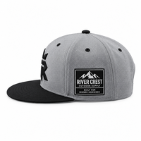 Casquette personnalisée pour entreprise, broderie 6 panneaux, visière plate, snapback, logo 3D, style hip-hop structuré, unisexe, vente en gros, OEM