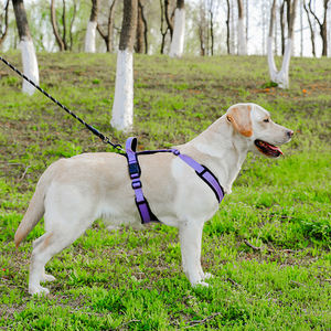 Pettorina e Guinzaglio per Cani di Taglia Grande con Strisce Riflettenti Traspiranti Vendita all'Ingrosso <span class=keywords><strong>2026</strong></span> - Product Image 3