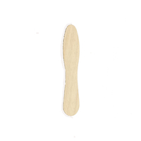 Bâtonnets de crème glacée jetables biodégradables en bois portables avec logo personnalisé - Outils écologiques pour la crème glacée