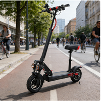 Trottinette électrique pour adultes de 800 watts et 48 volts, fabriquée en acier au carbone et en alliage d'aluminium, adaptée à la conduite en ville et en montagne.