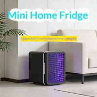 Lampu Terowongan 4L, Kulkas Mini Kompetisi Listrik, Lampu Atmosfer, Pendingin Semikonduktor Portabel Desktop, USB AC Schnitzer