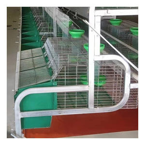 Jaula de Cría de <span class=keywords><strong>Conejos</strong></span> Tipo H de Acero Galvanizado de 2 Niveles, Estilo Europeo, Personalizada, con <span class=keywords><strong>Accesorios</strong></span>, Capacidad <span class=keywords><strong>para</strong></span> 48 <span class=keywords><strong>Conejos</strong></span>, 5 Años de Garantía - Product Image 1