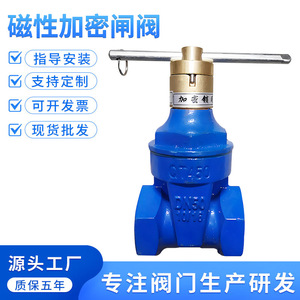 Válvula de Compuerta de Hierro Fundido con Disco de Latón FNPT x FNPT, Válvula de Cierre de Agua de Una Sola Vía - Product Image 2