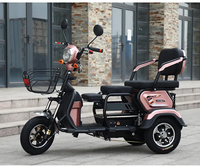 Triciclo Eléctrico para Pasajeros con Motor Central de 48v 800w y 3 Velocidades, Bicicleta Eléctrica de Acero de Tres Ruedas en Oferta
