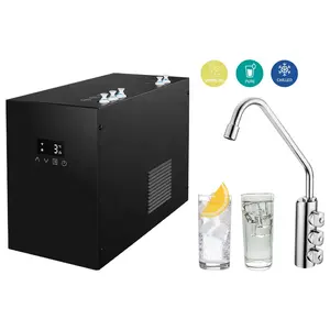 Distributeur d'eau gazeuse sous le comptoir, refroidisseur d'eau gazeuse, machine à boissons froides 3 en 1 robinet