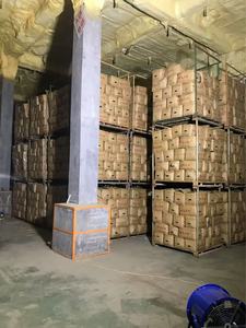 المنتجون الصينيون يبيعون الزنجبيل الصيني الطازج الناضج مباشرة من المزرعة - Product Image 3