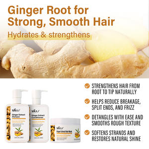 <span class=keywords><strong>Mascarilla</strong></span> para el cabello afroamericana Etiqueta privada Sin sulfato El <span class=keywords><strong>mejor</strong></span> champú de jengibre Champú para la caída del cabello para mujeres Hombres - Product Image 4