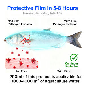 CY Aquatic Safe: Desintoxicante de toxinas almidónicas, eliminación de algas, desinfección de doble función y aditivos para alimento acuático - Product Image 5