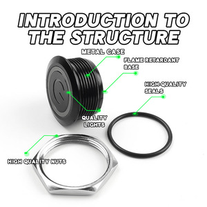 Công tắc nút kim loại 22mm bị oxy hóa màu đen không thấm nước IP65 tự đặt lại 1NO Đầu Phẳng/Đầu cao - Product Image 3