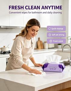 Lingettes humides écologiques Hensun pour toilettes, jetables, 10, 50, 100, 300 lingettes, format voyage, familial, à fixer au mur, poche - Product Image 5