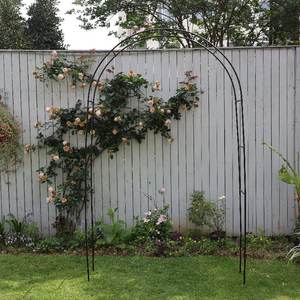 Clips métalliques pour plantes de jardin, panneaux de clôture en <span class=keywords><strong>bambou</strong></span>, banc, lit de culture surélevé, <span class=keywords><strong>pergola</strong></span>, treillis noir pour plantes grimpantes - Product Image 5