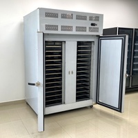 Congélateur à choc industriel Mr Frio -40°C en acier inoxydable 304, Tecumseh 220V/380V, deux portes, contrôle numérique, 5200W, pour fruits de mer