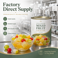 Ingeblikte Fruitcocktail 850g Ananas Kersen in Dikke Siroop ISO Bulk Groothandel Foodservice Blik Export Aanbod