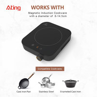 Petit mini design design portable 220-240V 1200W cuisinière à induction avec bouton adapté à l'extérieur