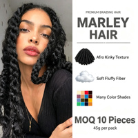 Nouvel arrivage en stock : Perruques en cheveux synthétiques à faible température, tressées, double trame, 24 pouces, style AFRO KINKY Exoticism Caterpillar, pour dreadlocks