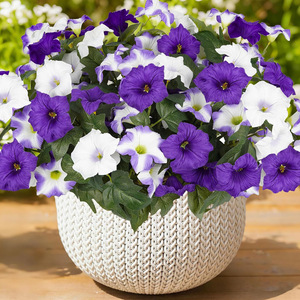 Fleurs Artificielles Violettes et Blanches, Bouquet de Trompettes de Volailles, 30cm-100cm, Haute Simulation, Décoration Florale en Plastique PE et Soie - Product Image 4