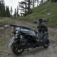 2000W Off-Road elektrikli motosiklet | 80 km/h uzun menzilli spor E motosiklet 12 inç vakum lastikleri ile