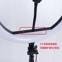 Lampe annulaire LED 12 pouces pour la photographie-Lampe de maquillage de studio Selfie à intensité variable avec télécommande idéale pour le vlogging