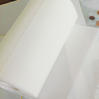Rollo de Papel de Cocina Ecológico de 2 Capas, Desechable, Calidad de Exportación para Europa, Medio Oriente y Mercados Globales al por Mayor