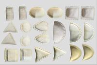Mini automatique en acier inoxydable Momo Somosa Ravioli Empanada rouleau de printemps boulette Samosa faisant la machine avec composant de noyau de moteur