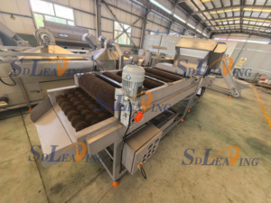 Ligne de traitement des dattes avec machine de pesage, de lavage et de séchage - Product Image 6